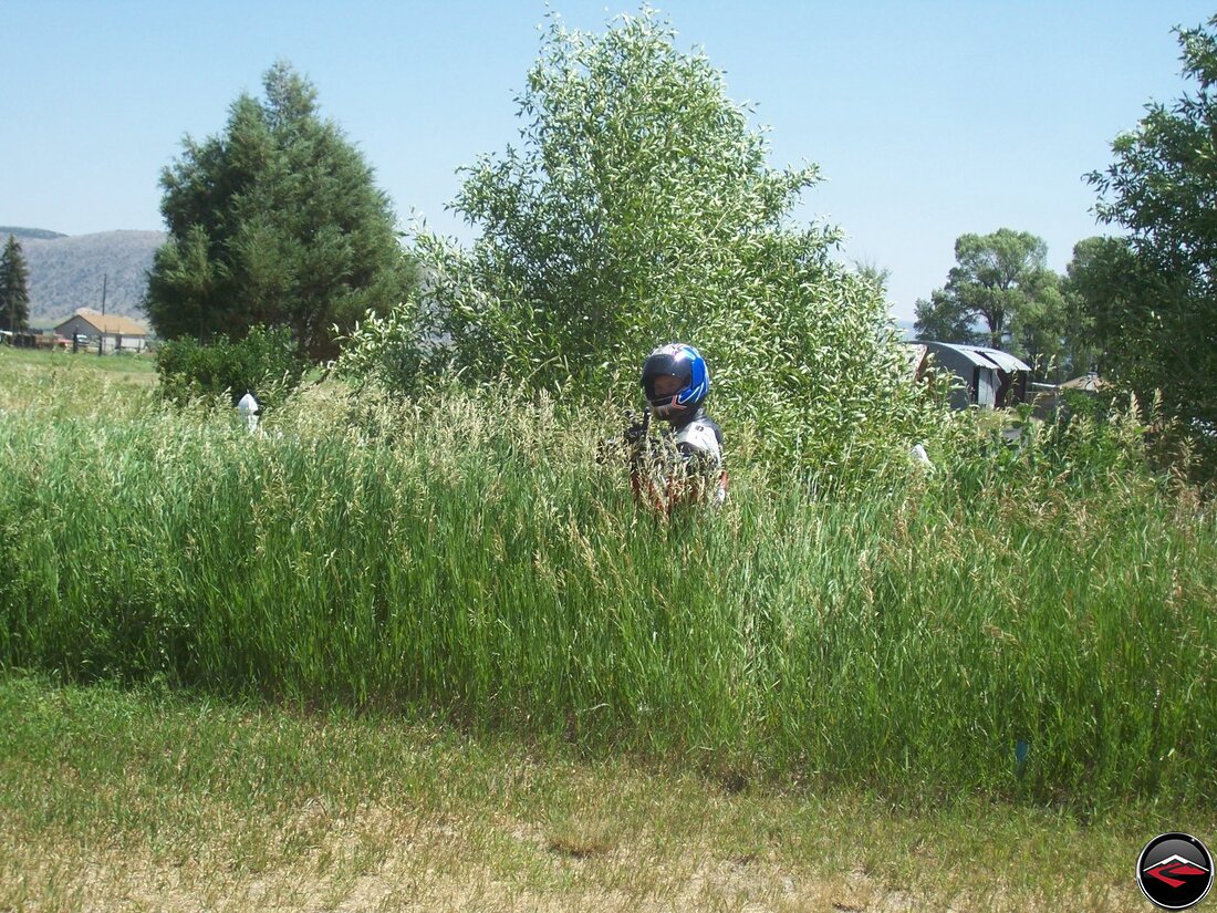 Man peeing in the tall grass
