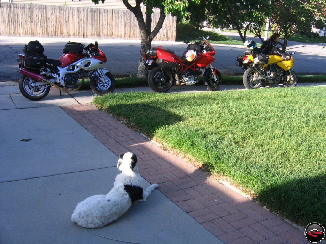 Jake watches us make final preparations