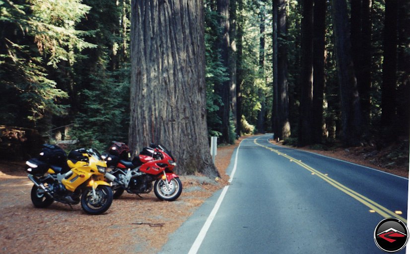 Honda VTR1000 and Suzuki TL100SMotorcycles along the Avenue of the Giants