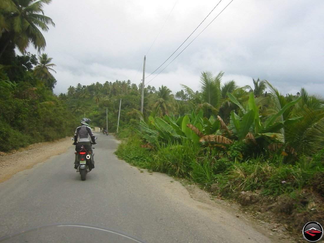 man riding a motorcycle, standing on the footpegs to see over the top of the vegetation