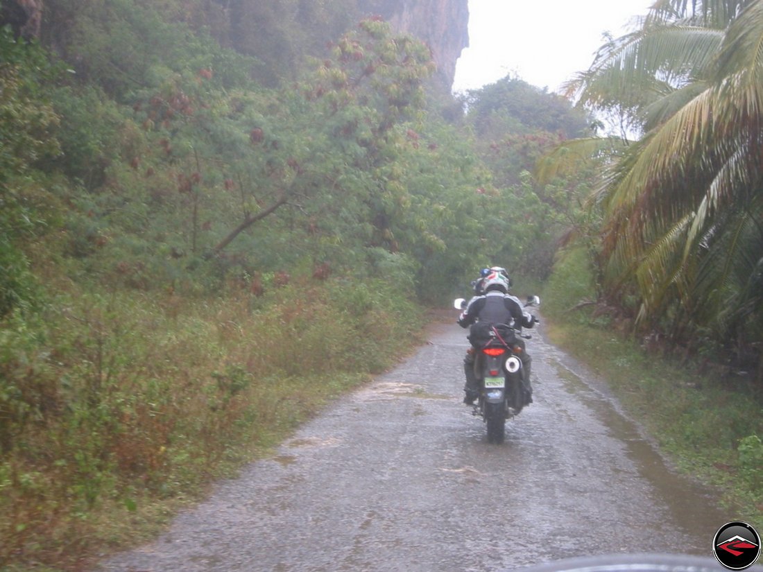 riding a motorcycle in the rain down a narrow road with tall, wet vegetation