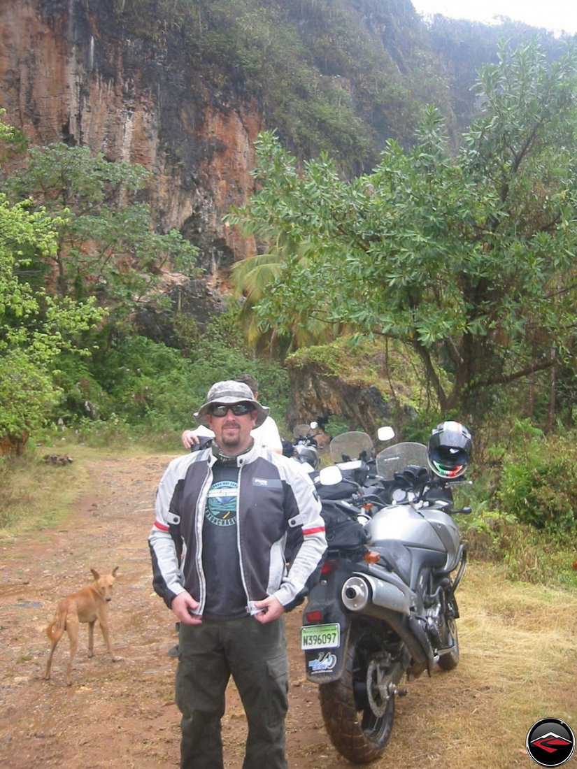 Motorcycle rider with a Little herding dog