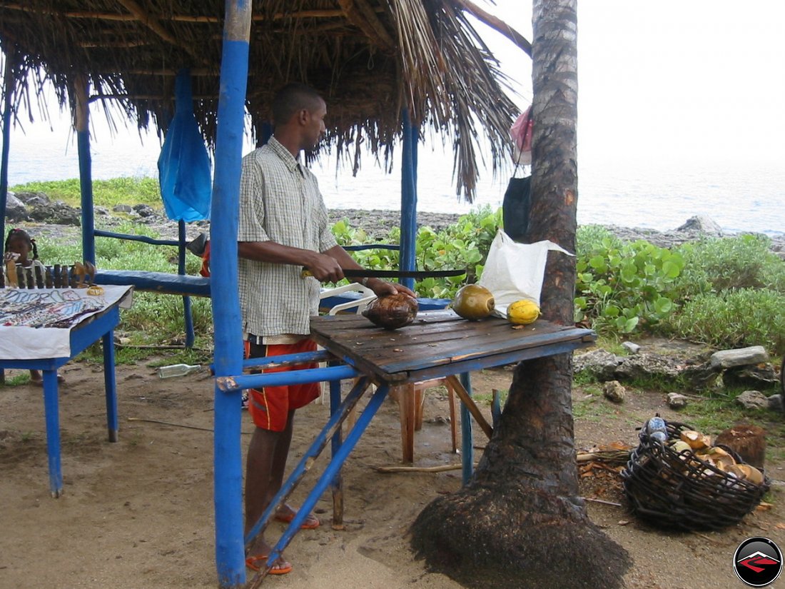 coconuts for sale on the beach