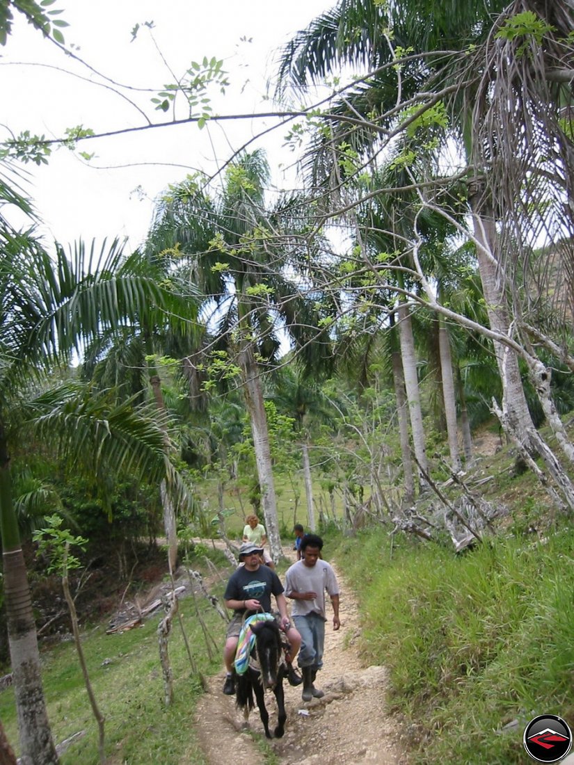 riding horses to Cascada El Limon Dominican Republic