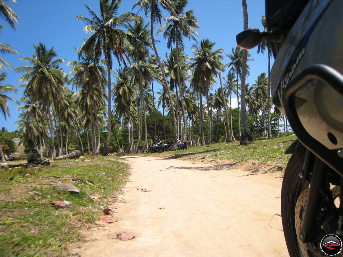 palm trees on the beach in the caribbean with a motorcycle riding to a parking spot