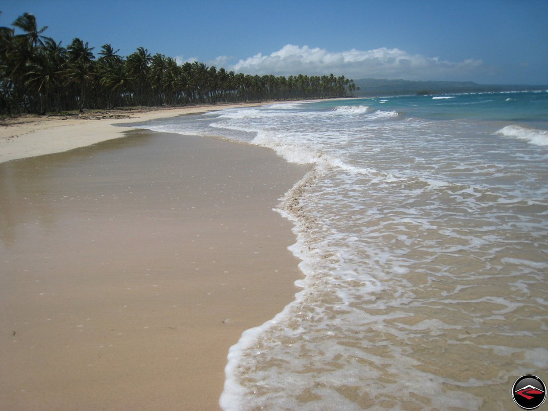 Perfect caribbean beach with palm trees and perfect blue water