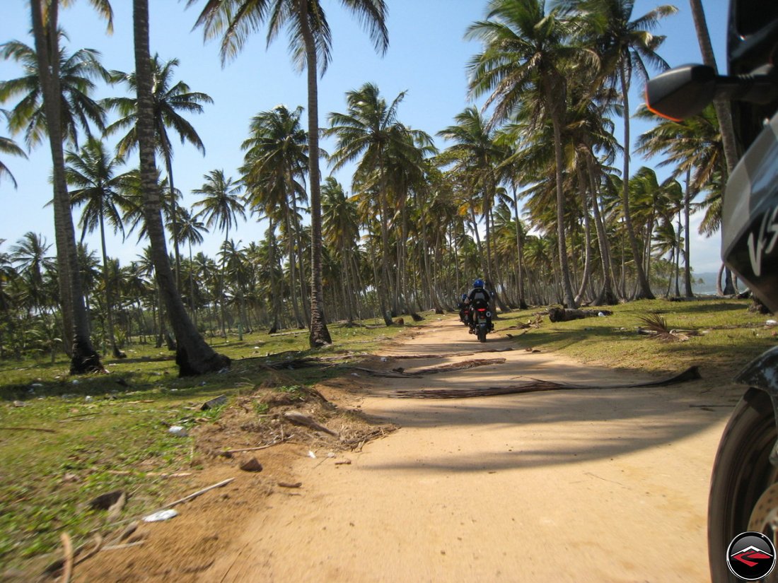 motorcycles riding down a sandy road along the beach, beneath blowing palm trees