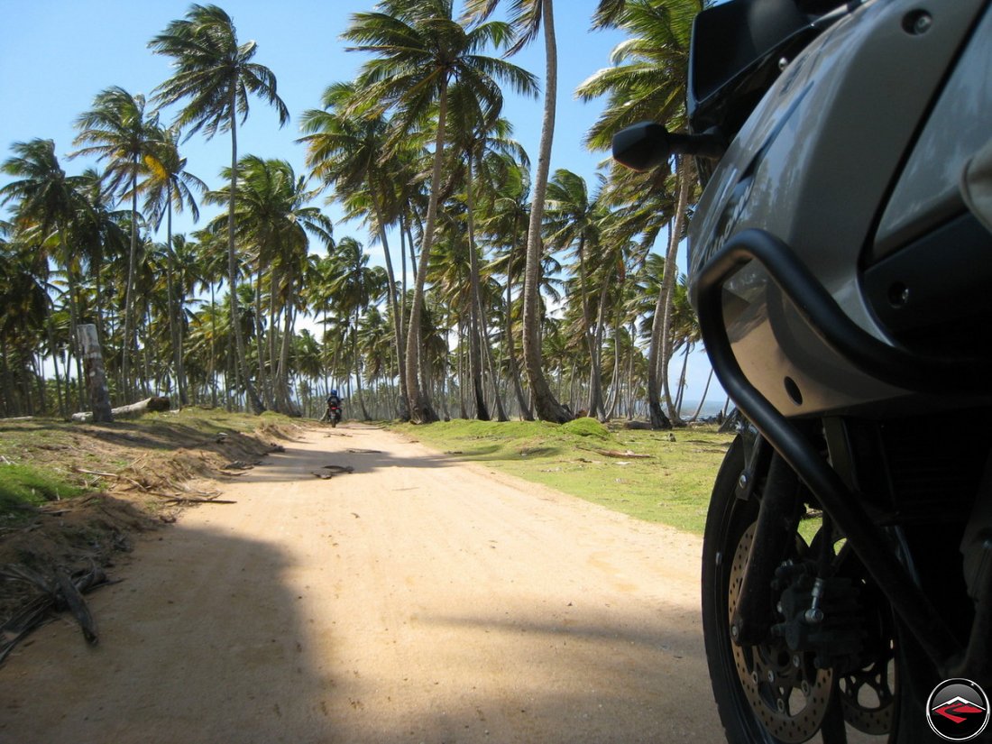 motorcycles riding down a sandy road along the beach, beneath blowing palm trees