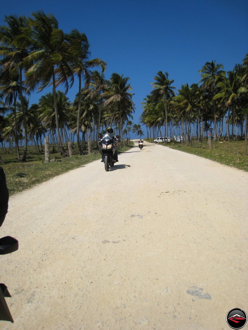 motorcycles riding down a sandy road along the beach, beneath blowing palm trees, bright blue, clear skies