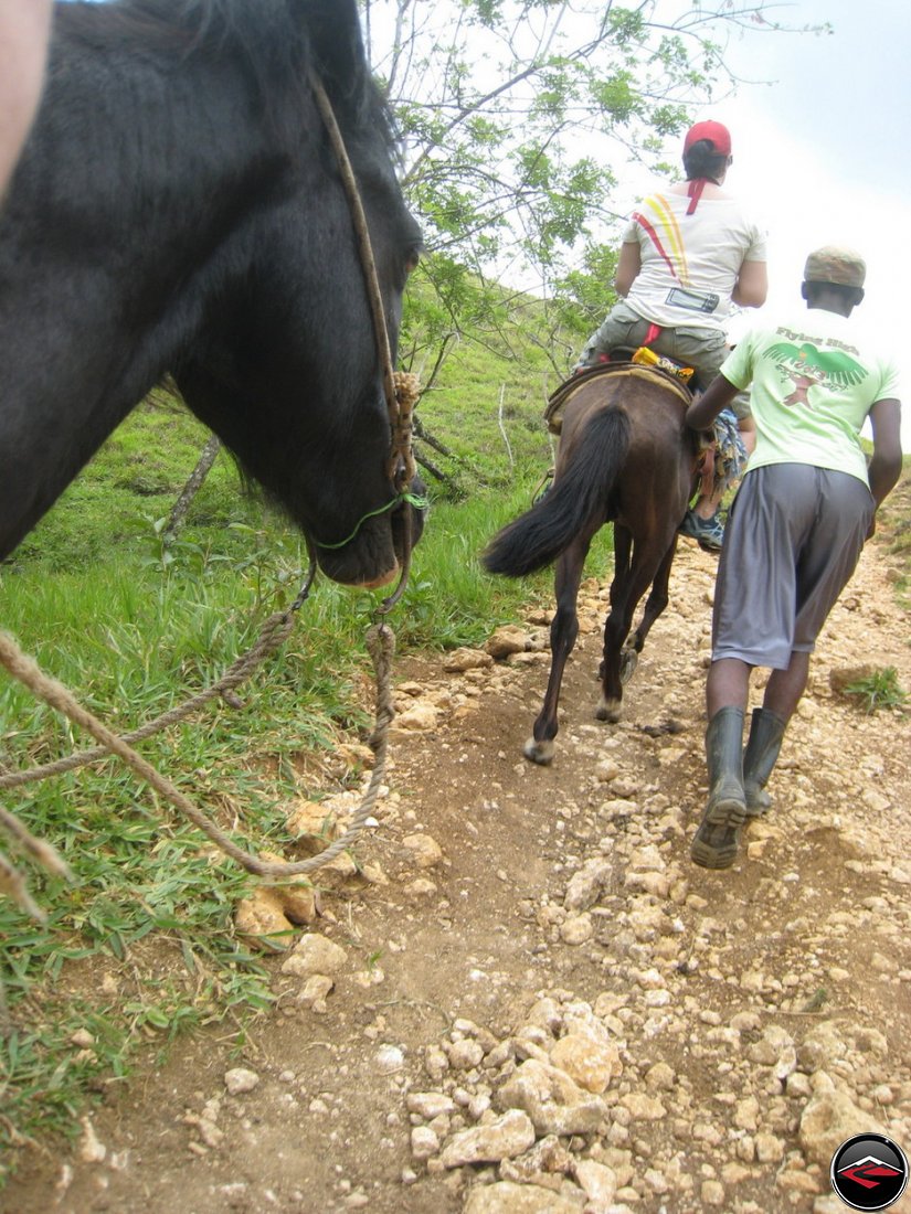 riding horses to Cascada El Limon Dominican Republic