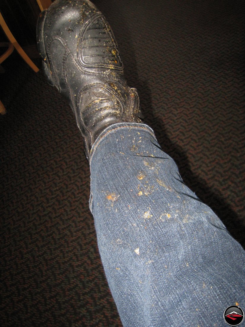 Bug spattered motorcycle boots