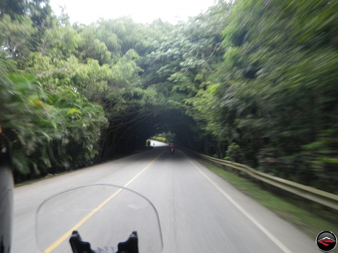 Riding a motorcycle on highway 28 through a tunnel of dense trees near Jarabacoa Dominican Republic