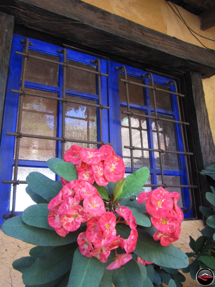 Flowers in front of a caribbean window at the Cafeto Restaurant Espaillat Dominican Republic