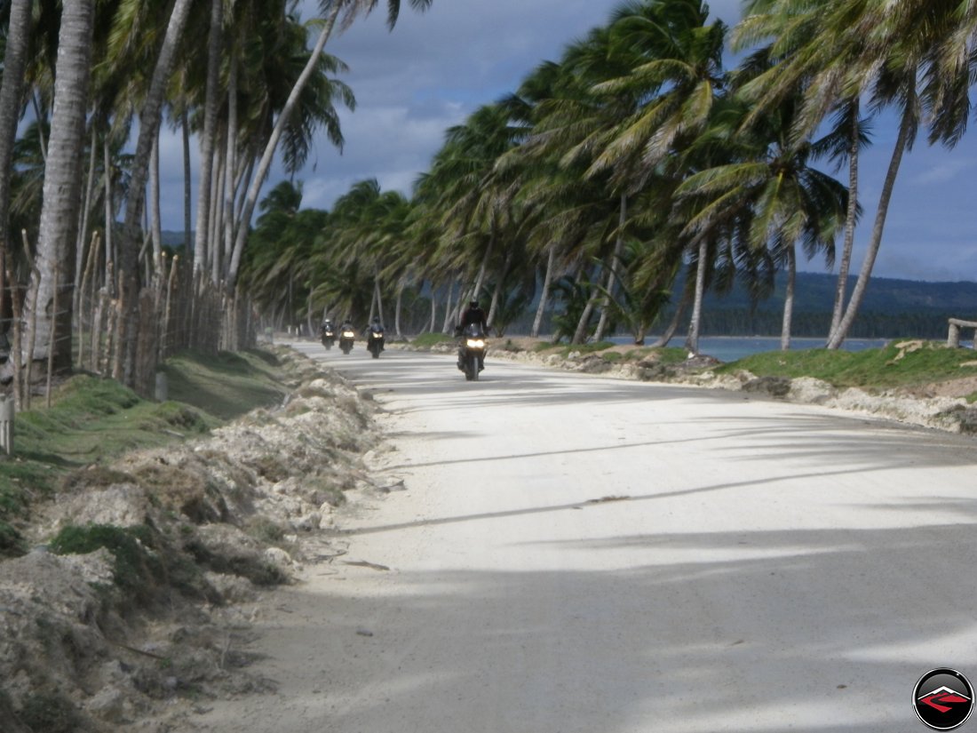 Riding motorcycles along the beach, beneath palm trees blowing in the wind