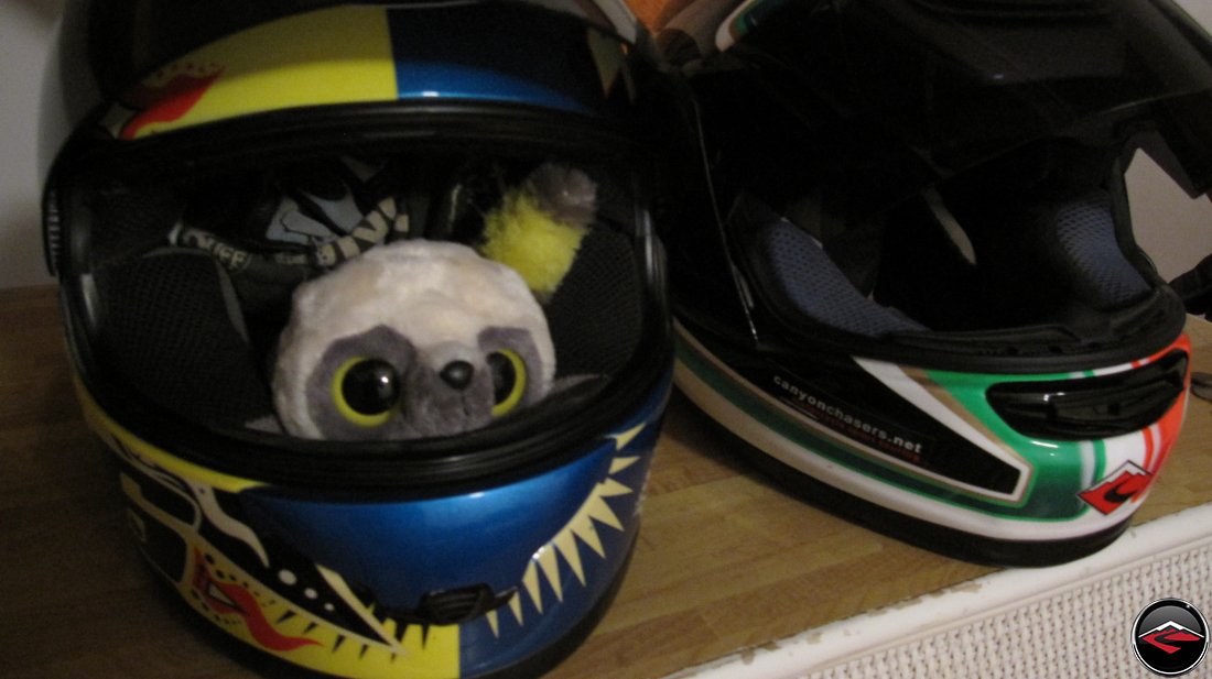 stuffed animal in a motorcycle helmet