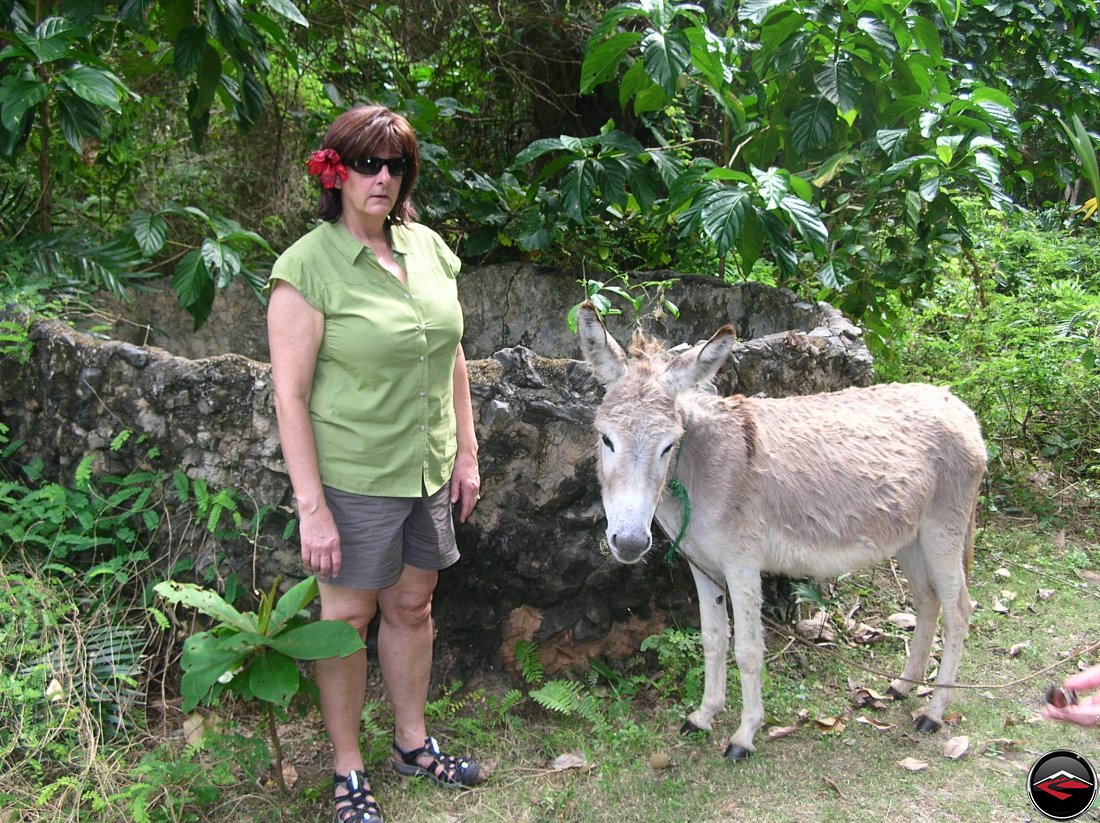 Shirly stands next to a Donkey