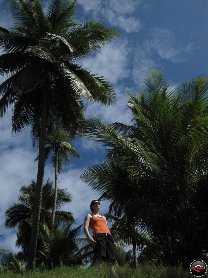 Woman in an orange shirt standing on the horizon of a caribbean island with palm trees in the background