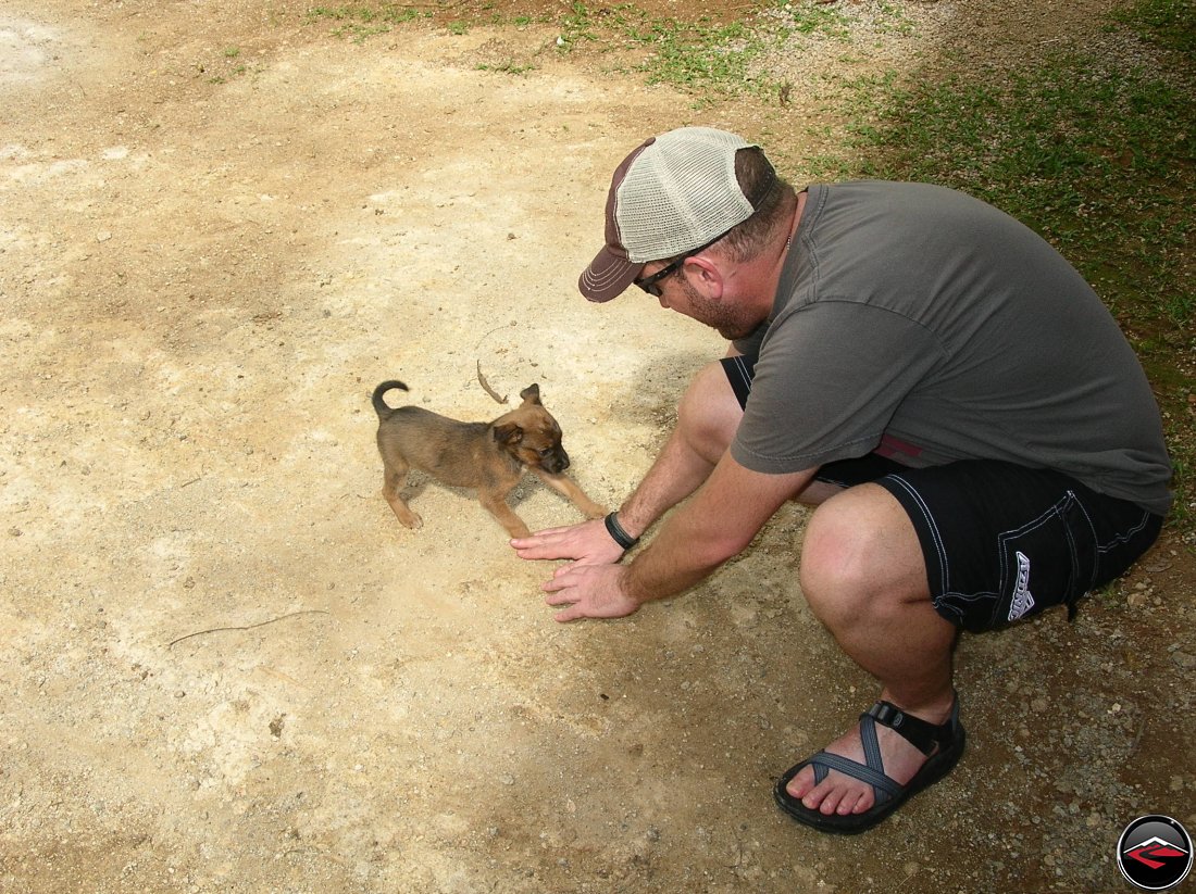 Man plays with a puppy on a caribbean island