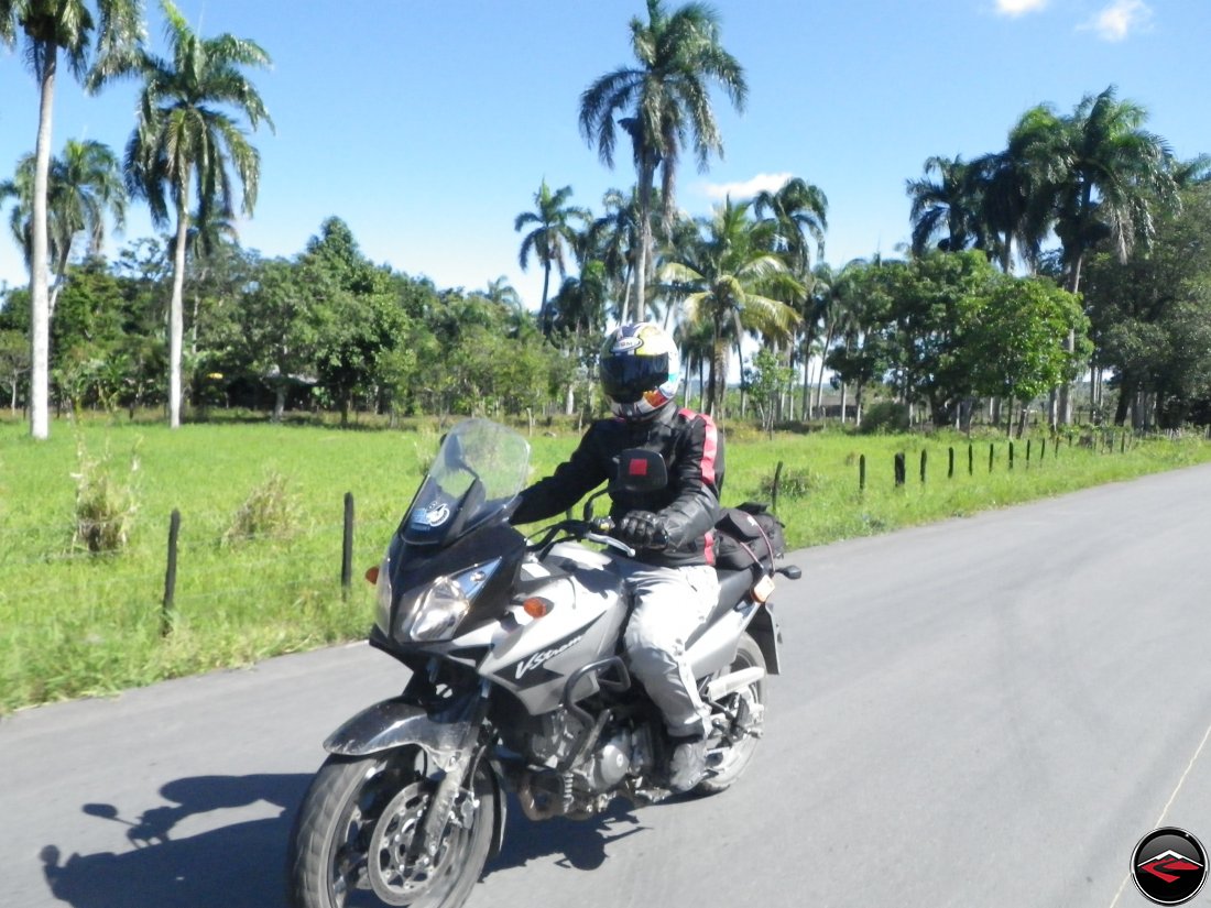 man riding a suzuki v-strom 650 past palm trees