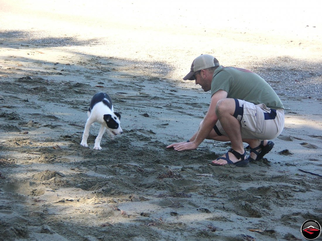 Man playing with a black and white puppy using a coconut as a ball