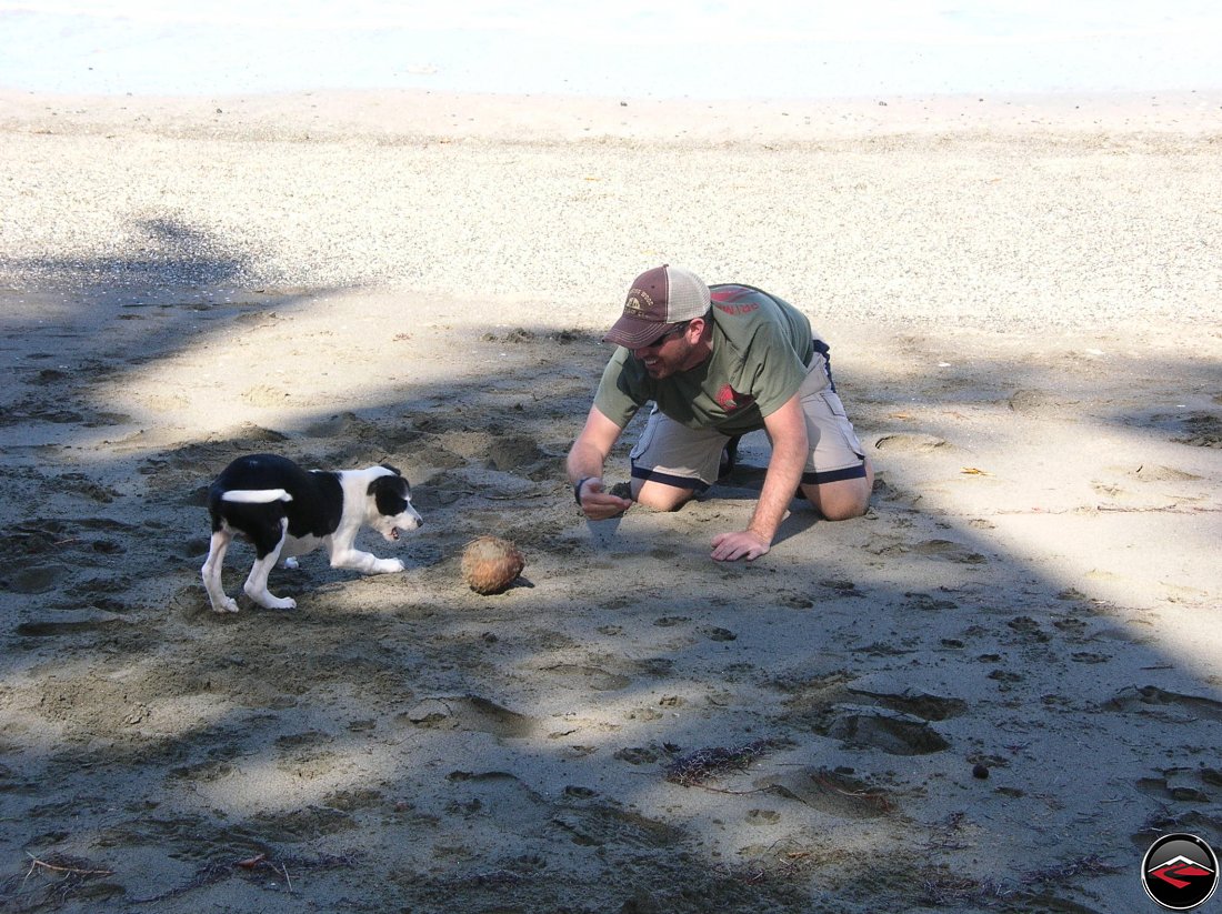 Man playing with a black and white puppy using a coconut as a ball