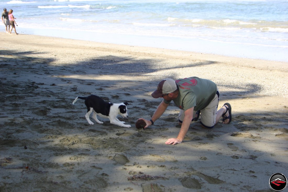 Man playing with a black and white puppy using a coconut as a ball