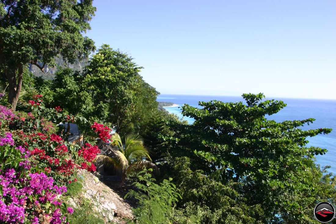 Caribbean vegetation and flowers with the ocean in the background