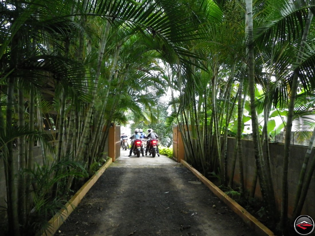 Two motorcyclists speak at the end of a long driveway lined by green ferns