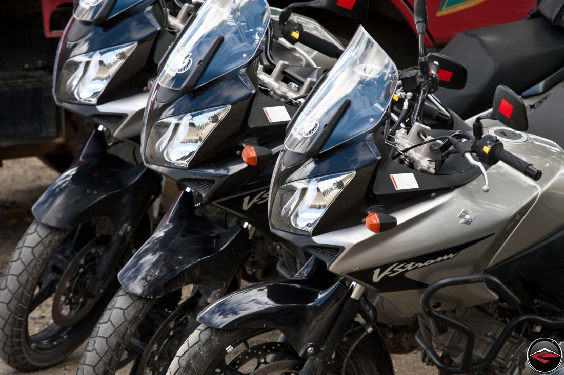 Suzuki V-Strom 650 motorcycles parked in a line