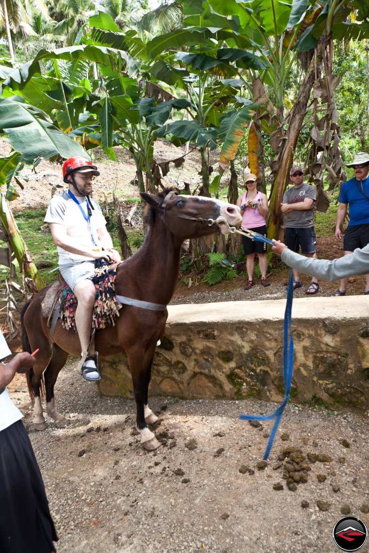 Man riding a small, skittish horse Cascada El Limon Dominican Republic