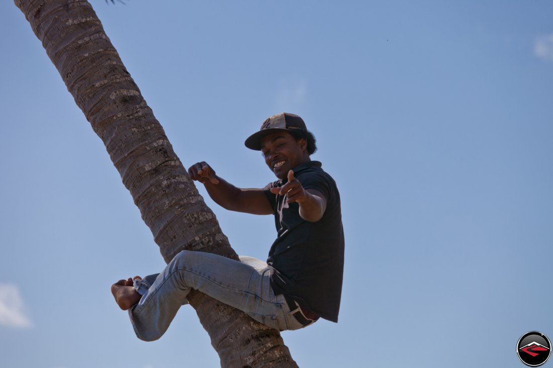 Man holding onto the truck of a palm tree with just his legs