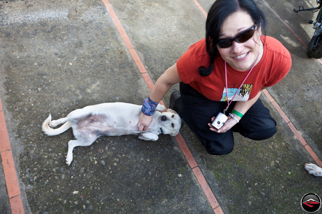 Kris Rubbing the belly of little white dog