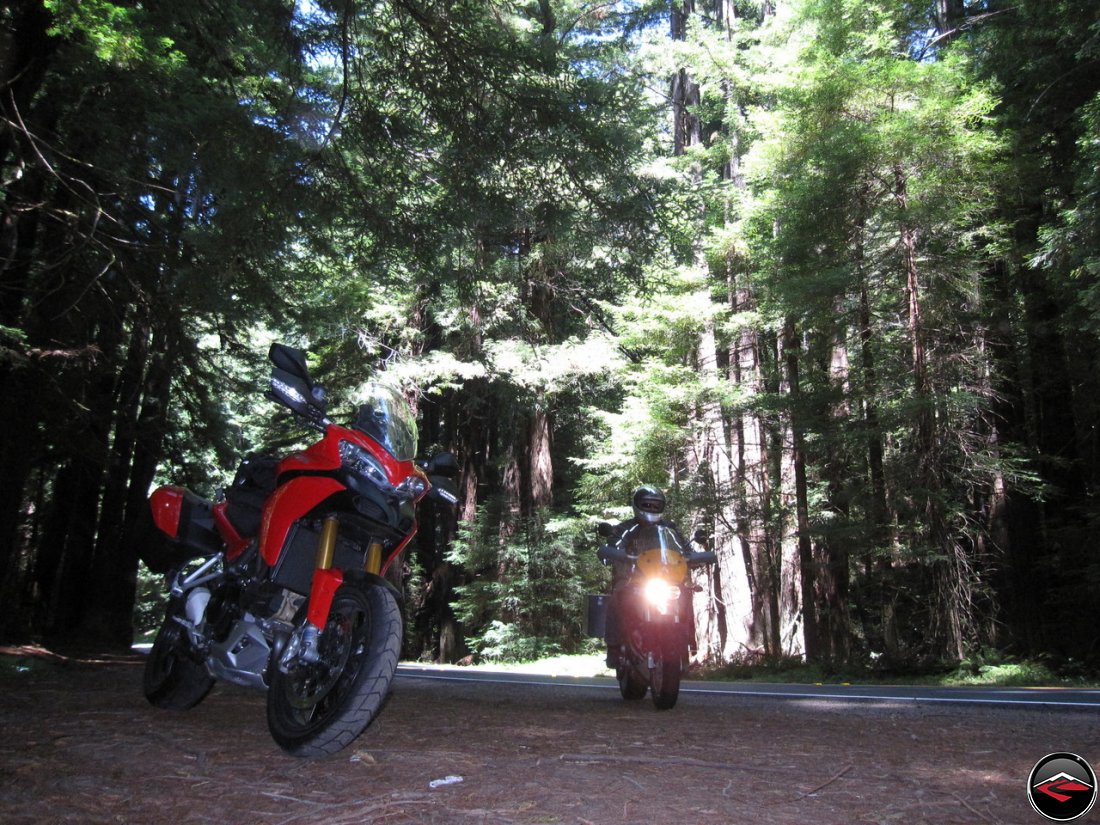 Ducati Multistrada 1200 and a Buell Ulysses at California, Navarro River Redwoods State Park, Highway Pullout