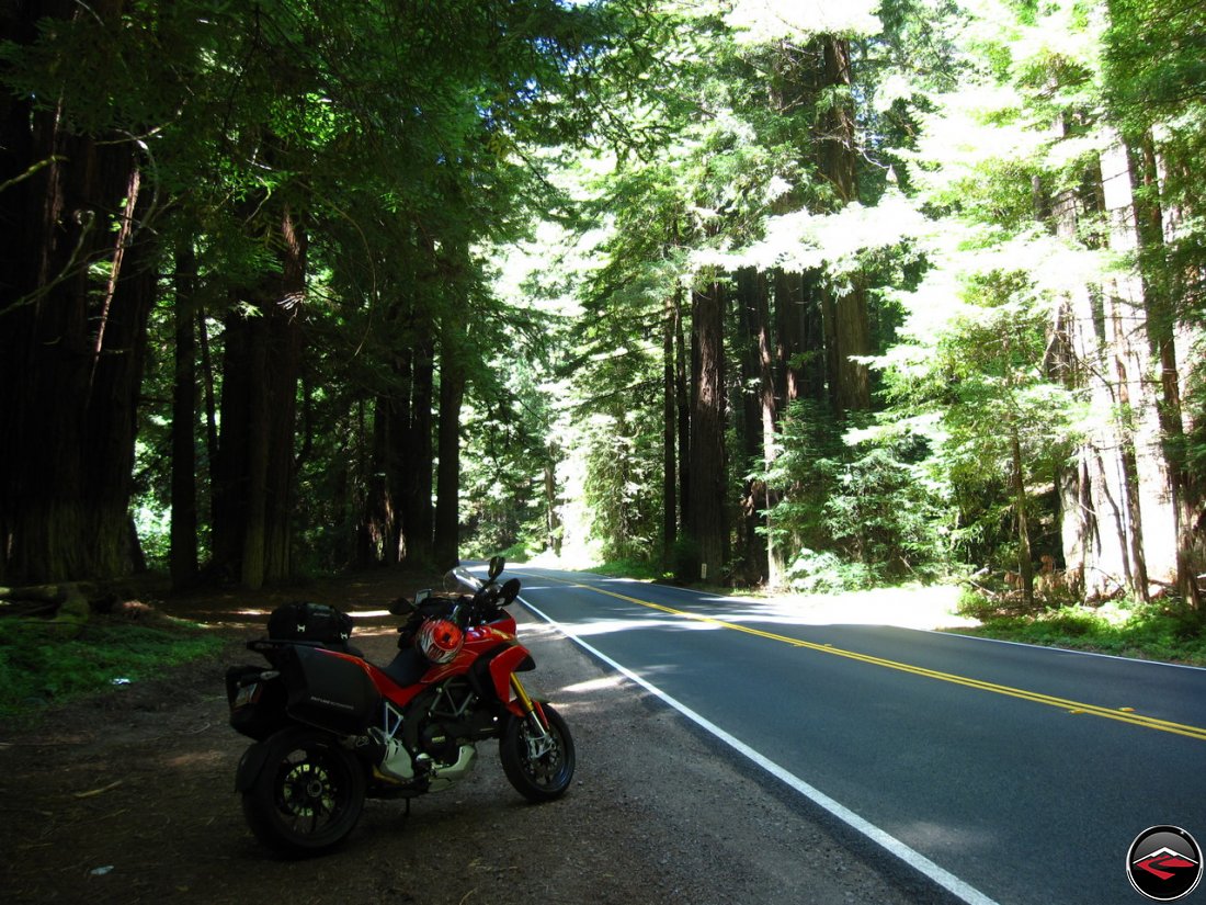 Ducati Multistrada 1200 parked in California's Navarro River Redwoods State Park