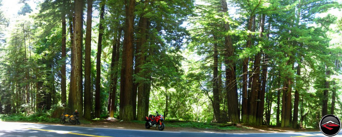 Scenic Panorama of a Ducati Multistrada 1200 and a Buell Ulysses inside California's Navarro River Redwoods State Park