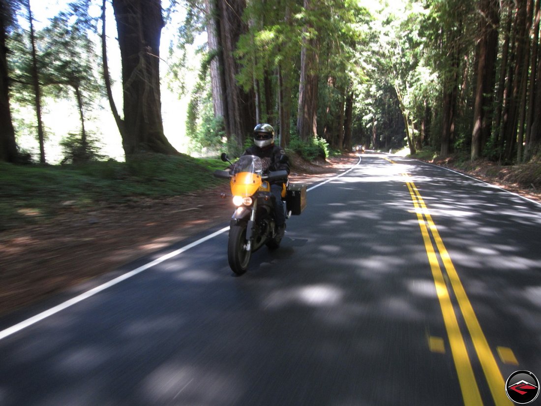 Riding a Buell Ulysses through Dense Redwood Tree's inside Navarro River Redwoods State Park in California