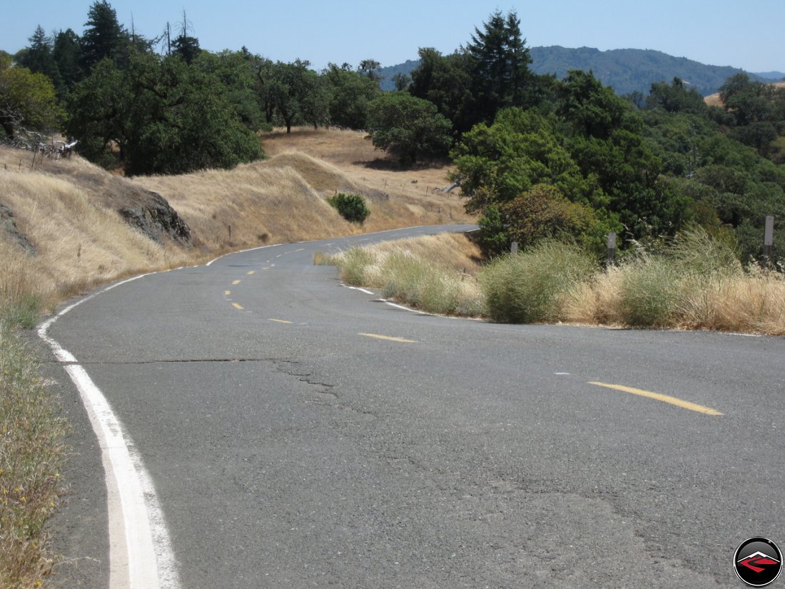 Cured Grasses along California's Comptche Ukiah Road