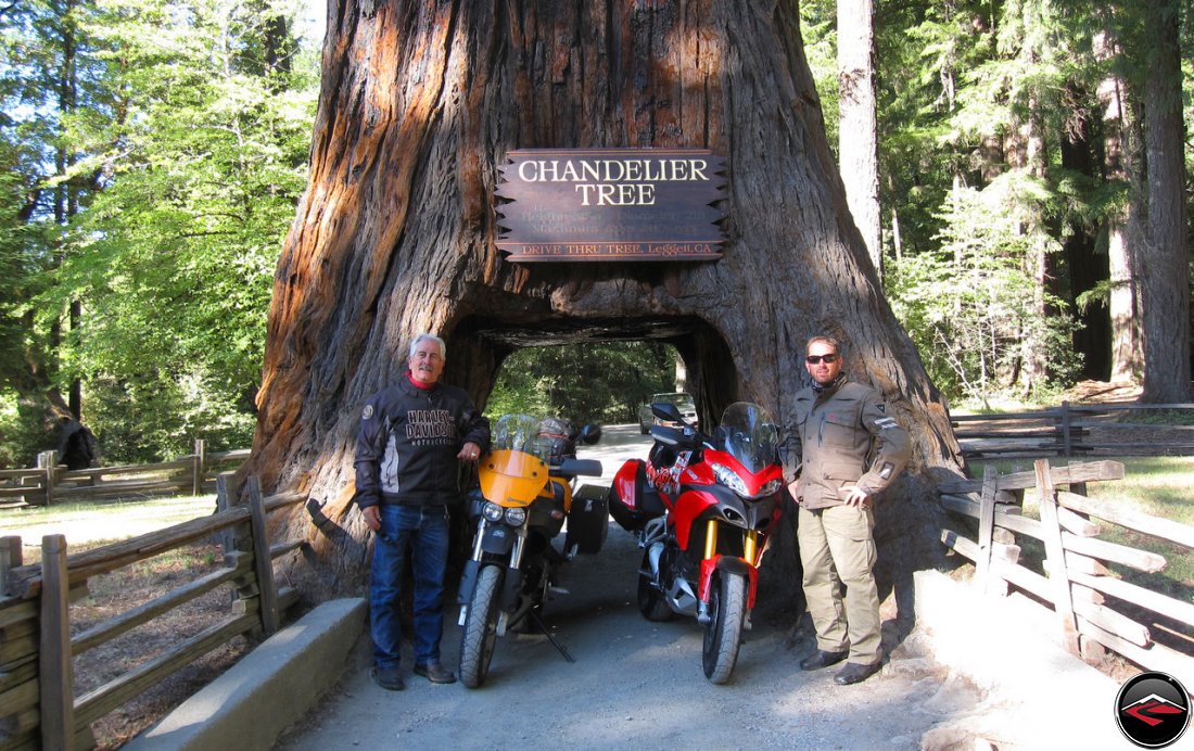 Tom and Dave with their two motorcycles, a Ducati Multistrada 1200 and a Buell Ulysses at the Chandelier Tree in Leggit California