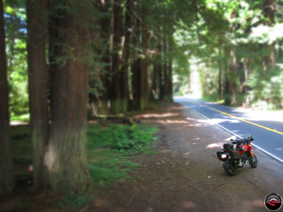 Forced Perspective of a Ducati Multistrada 1200 at California's Navarro River Redwoods State Park along California Highway 128