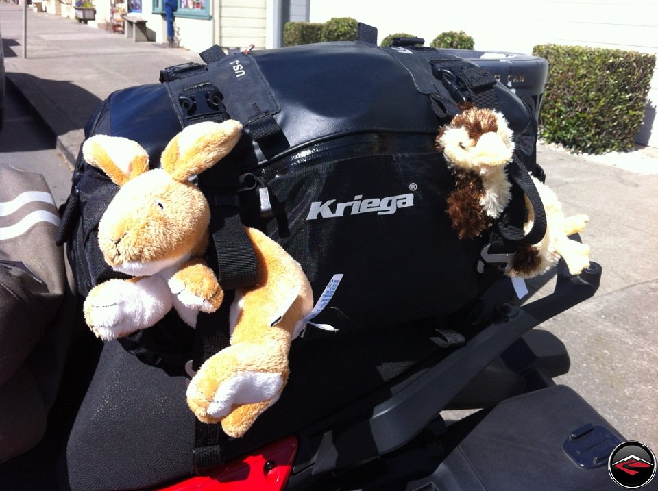 Kriega US-20 Tailbag attached to a Ducati Multistrada 1200. Flexible straps allow for a stuffed rabbit and a stuffed duck to ride along.