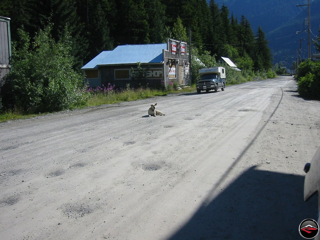 IMG 2194 001