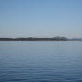 IMG 2587