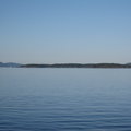 IMG 2586